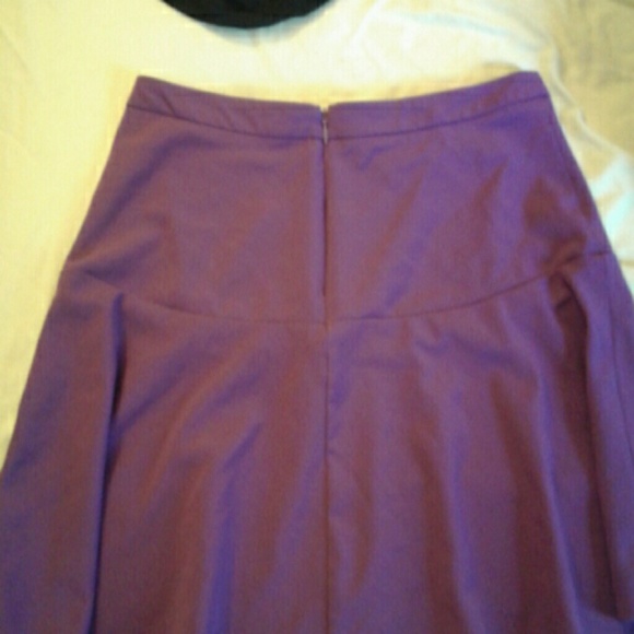 Skirt. Back Zipper - Picture 3 of 4